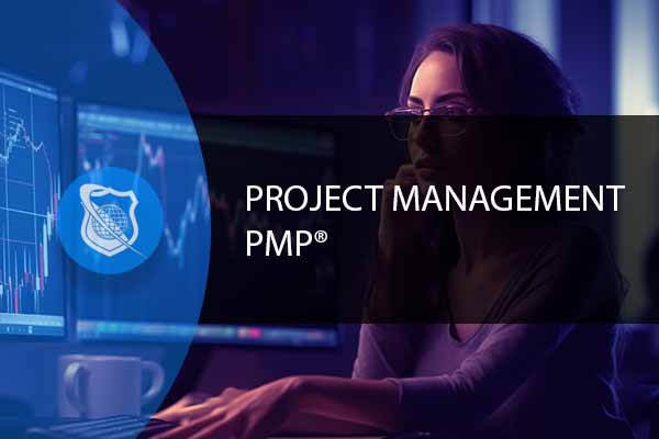 Project Management Professional - PMP Exam Prep