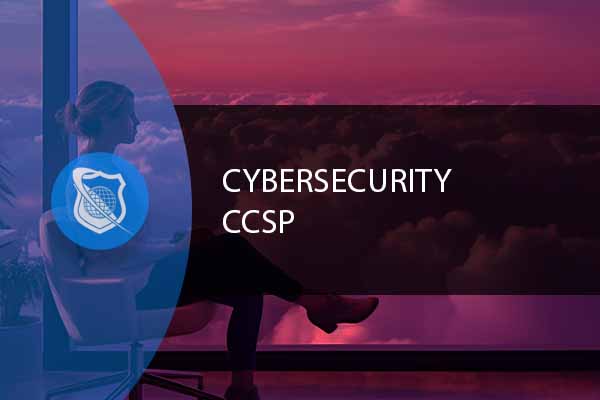 Certified Cloud Security Professional (CCSP) Training Course