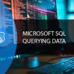 Learn SQL Server 2019 - Querying SQL Server