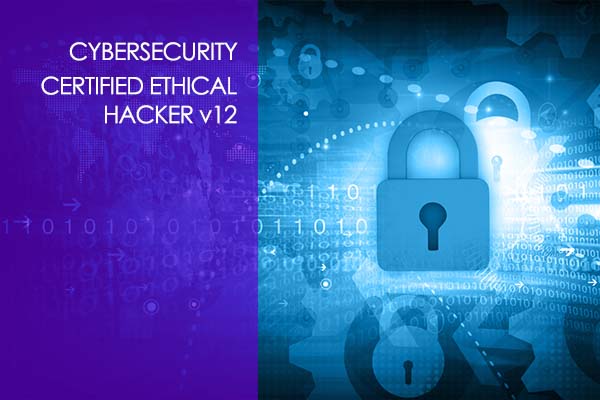 Certified Ethical Hacker Training for Certification – CEH 12