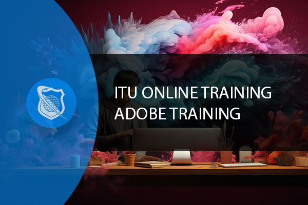 Adobe Training